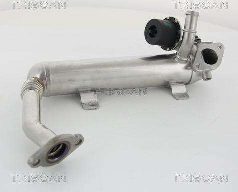 Triscan 8813 29319 - Radiators, Izplūdes gāzu recirkulācija ps1.lv