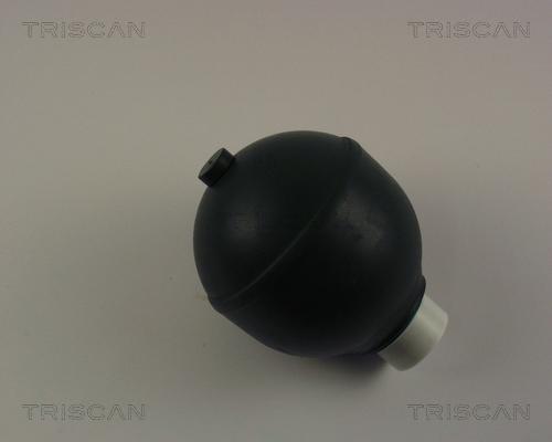 Triscan 8760 38218 - Hidroakumulators, Piekare / Amortizācija ps1.lv