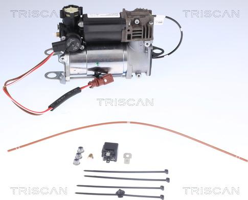 Triscan 8725 29101 - Kompresors, Pneimatiskā sistēma ps1.lv