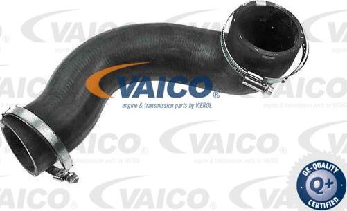 VAICO V95-0356 - Pūtes sistēmas gaisa caurule ps1.lv