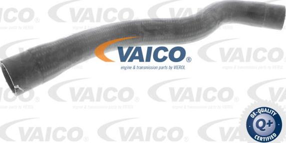 VAICO V40-1995 - Radiatora cauruļvads ps1.lv
