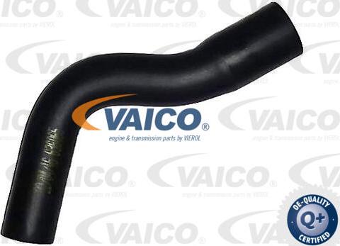 VAICO V40-1990 - Šļūtene, Kartera ventilācija ps1.lv