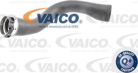 VAICO V40-1364 - Pūtes sistēmas gaisa caurule ps1.lv