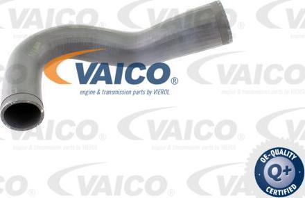 VAICO V40-1365 - Pūtes sistēmas gaisa caurule ps1.lv