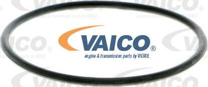 VAICO V48-50003 - Ūdenssūknis ps1.lv