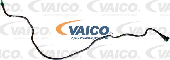VAICO V42-0956 - Degvielas vads ps1.lv