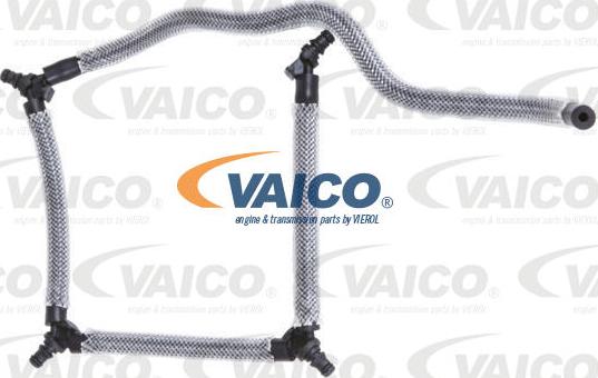 VAICO V42-0857 - Degvielas šļūtene ps1.lv