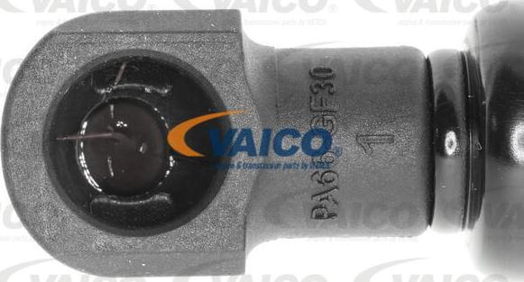 VAICO V52-0030 - Gāzes atspere, Bagāžas / Kravas nodalījuma vāks ps1.lv