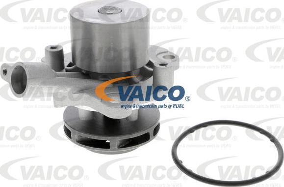 VAICO V10-50099 - Ūdenssūknis ps1.lv