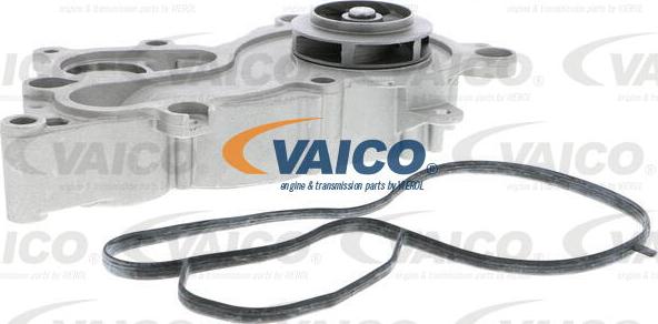 VAICO V10-50093 - Ūdenssūknis ps1.lv