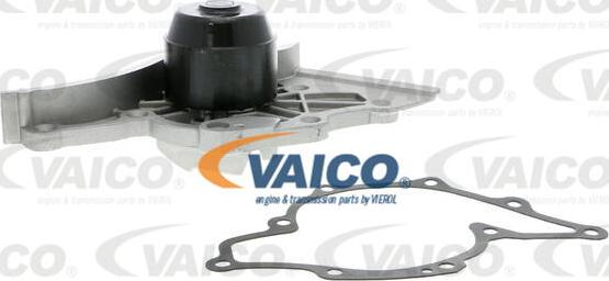 VAICO V10-50044 - Ūdenssūknis ps1.lv