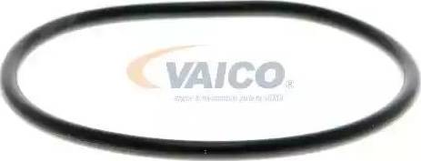 VAICO V10-50058-1 - Ūdenssūknis ps1.lv