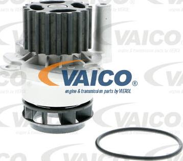 VAICO V10-50060-1 - Ūdenssūknis ps1.lv