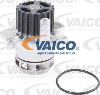 VAICO V10-50060 - Ūdenssūknis ps1.lv