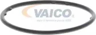 VAICO V10-50003 - Ūdenssūknis ps1.lv