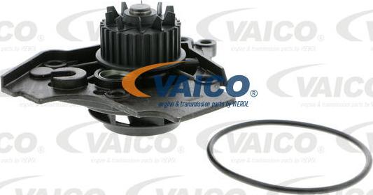 VAICO V10-50072 - Ūdenssūknis ps1.lv