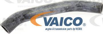 VAICO V10-0050 - Radiatora cauruļvads ps1.lv