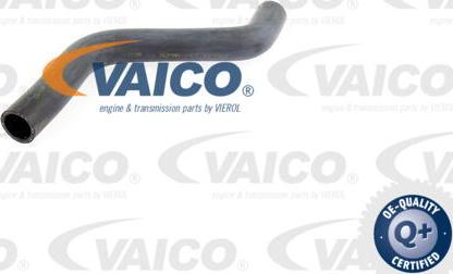 VAICO V10-0060 - Radiatora cauruļvads ps1.lv