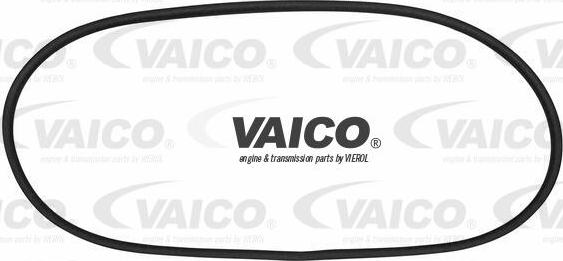 VAICO V10-0891 - Blīve, Vējstikls ps1.lv