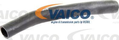 VAICO V10-0366 - Radiatora cauruļvads ps1.lv