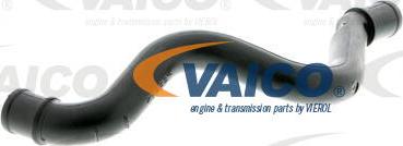 VAICO V10-0776 - Šļūtene, Kartera ventilācija ps1.lv