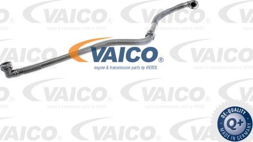 VAICO V10-3597 - Šļūtene, Gaisa padeves sistēma ps1.lv