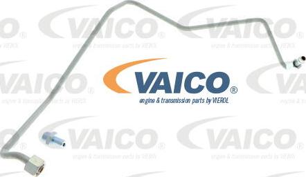 VAICO V10-3733 - Eļļas cauruļvads, Kompresors ps1.lv