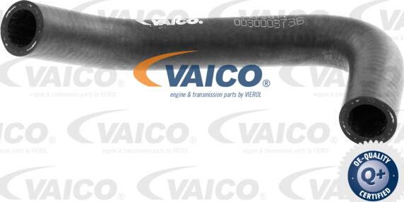 VAICO V10-2814 - Radiatora cauruļvads ps1.lv