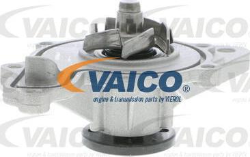 VAICO V30-50055 - Ūdenssūknis ps1.lv