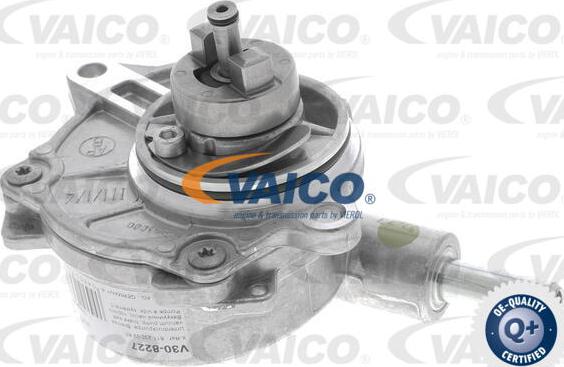 VAICO V30-8227 - Vakuumsūknis, Bremžu sistēma ps1.lv