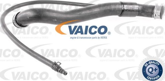 VAICO V30-3142 - Radiatora cauruļvads ps1.lv