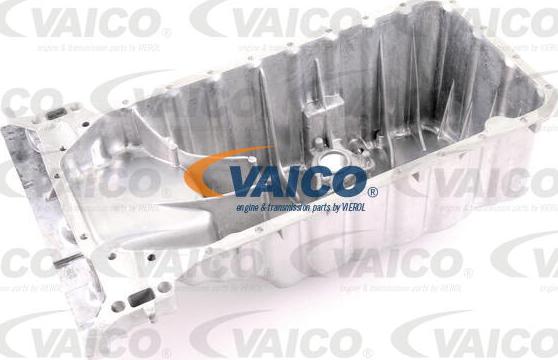 VAICO V30-3177 - Eļļas vācele ps1.lv