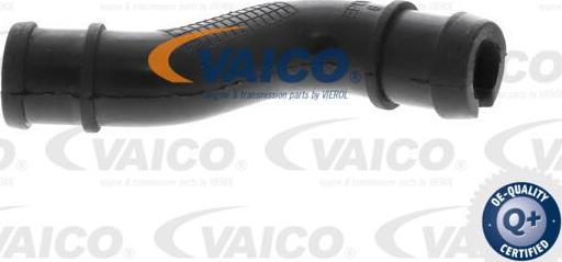 VAICO V24-1293 - Šļūtene, Kartera ventilācija ps1.lv