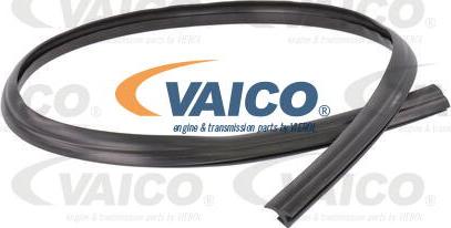 VAICO V25-9701 - Blīve, Vējstikls ps1.lv