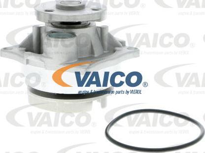 VAICO V25-50011 - Ūdenssūknis ps1.lv