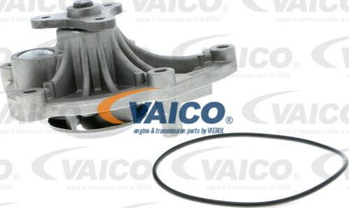 VAICO V20-50045 - Ūdenssūknis ps1.lv