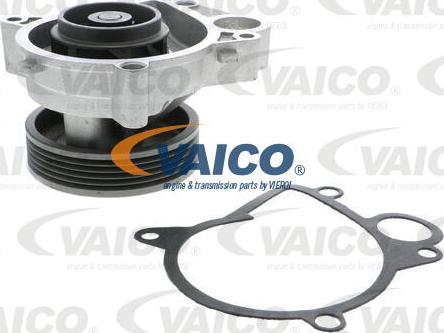 VAICO V20-50033 - Ūdenssūknis ps1.lv