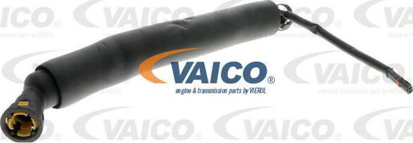 VAICO V20-1564 - Šļūtene, Kartera ventilācija ps1.lv