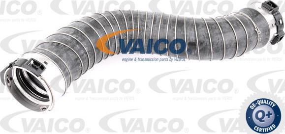 VAICO V20-2966 - Pūtes sistēmas gaisa caurule ps1.lv