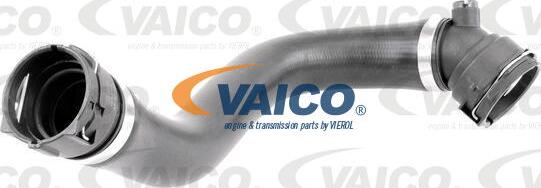 VAICO V20-2164 - Radiatora cauruļvads ps1.lv