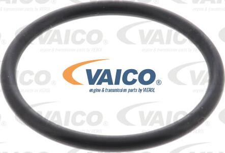 VAICO V70-0697 - Hidrofiltrs, Automātiskā pārnesumkārba ps1.lv