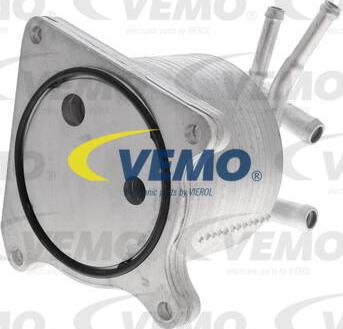 Vemo V33-60-0012 - Eļļas radiators, Automātiskā pārnesumkārba ps1.lv