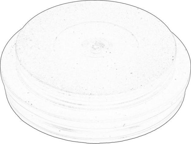 VAG 06C109144 - Sadales vārpsta ps1.lv