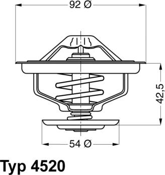 WAHLER 4520.80D - Termostats, Dzesēšanas šķidrums ps1.lv