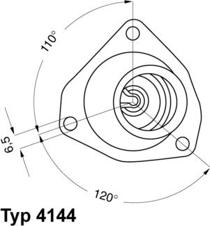 WAHLER 4144.82D - Termostats, Dzesēšanas šķidrums ps1.lv