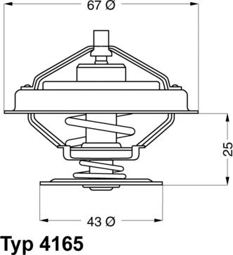 WAHLER 416579D - Termostats, Dzesēšanas šķidrums ps1.lv