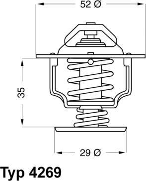 WAHLER 426978D - Termostats, Dzesēšanas šķidrums ps1.lv