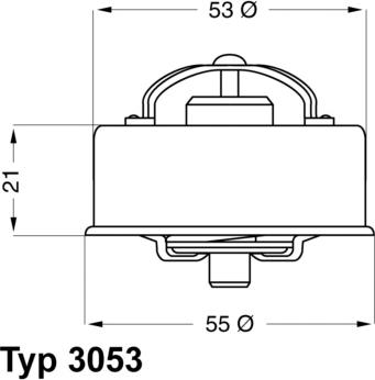 WAHLER 3053.75 - Termostats, Dzesēšanas šķidrums ps1.lv