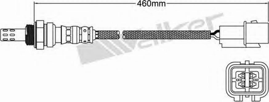 Walker 250-24461 - Lambda zonde ps1.lv