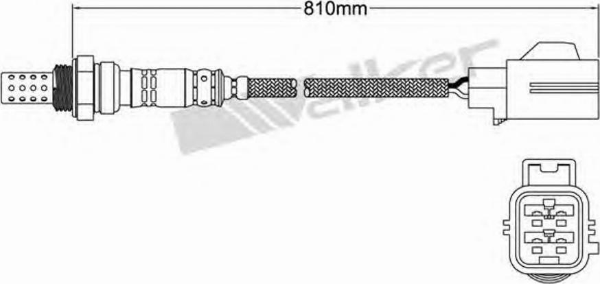 Walker 250-24408 - Lambda zonde ps1.lv